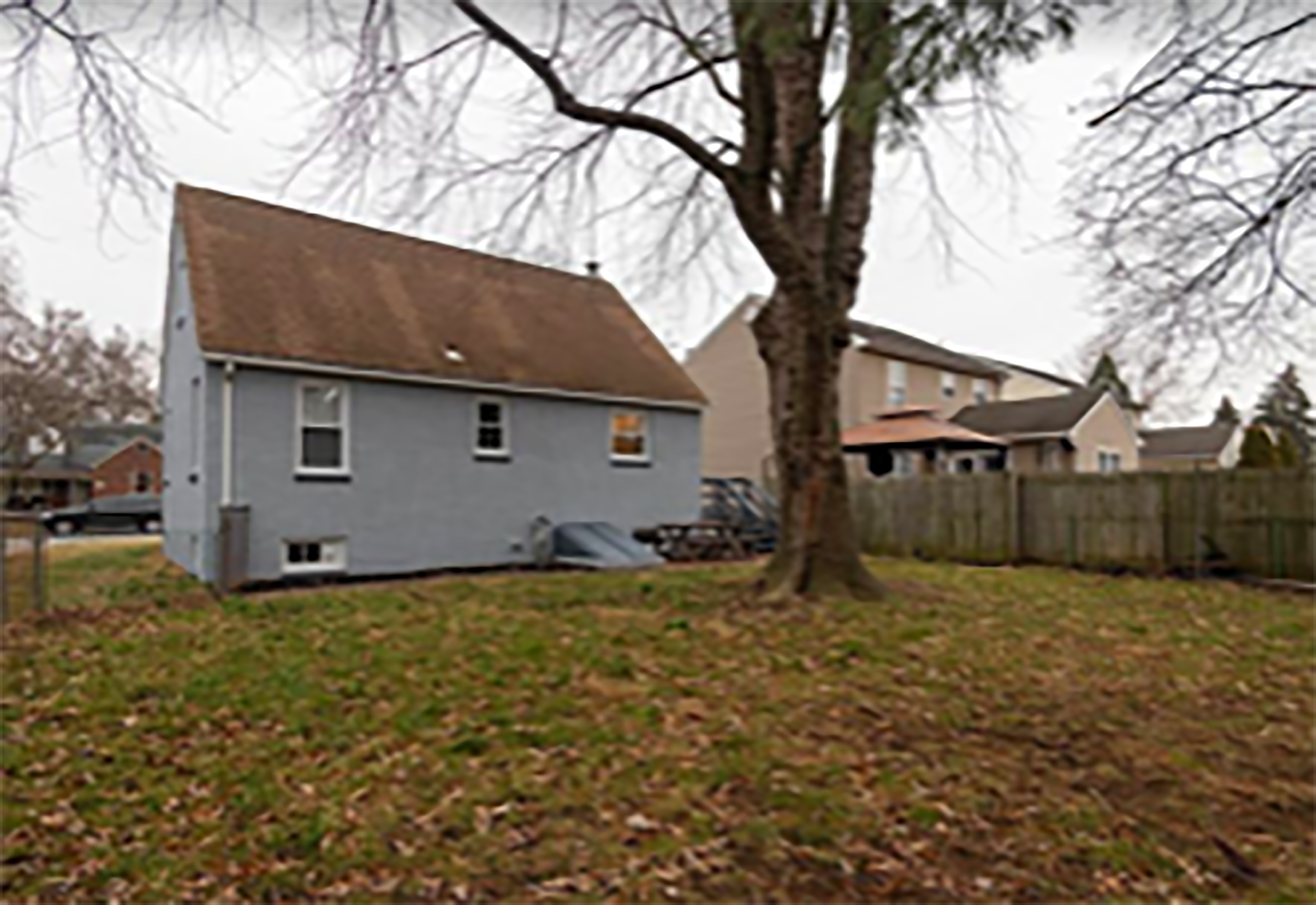 back_yard_1
